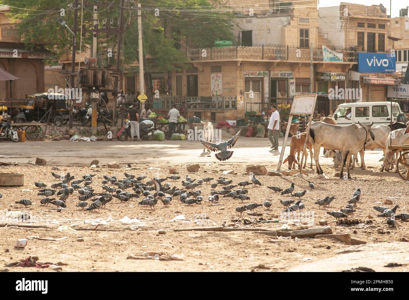 Ville désertique de Jaisalmer, Inde Banque D'Images