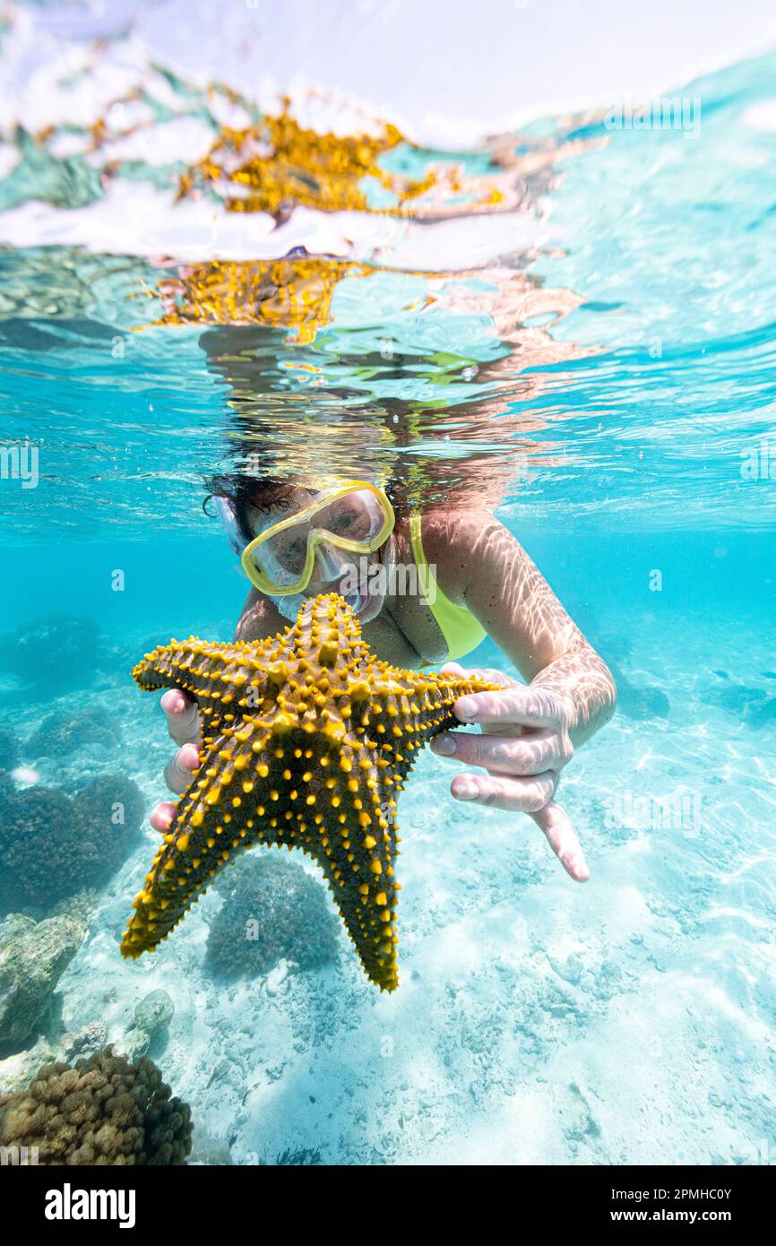 Femme montrant une étoile de mer jaune sous l'eau dans le lagon tropical, Zanzibar, Tanzanie, Afrique de l'est, Afrique Banque D'Images