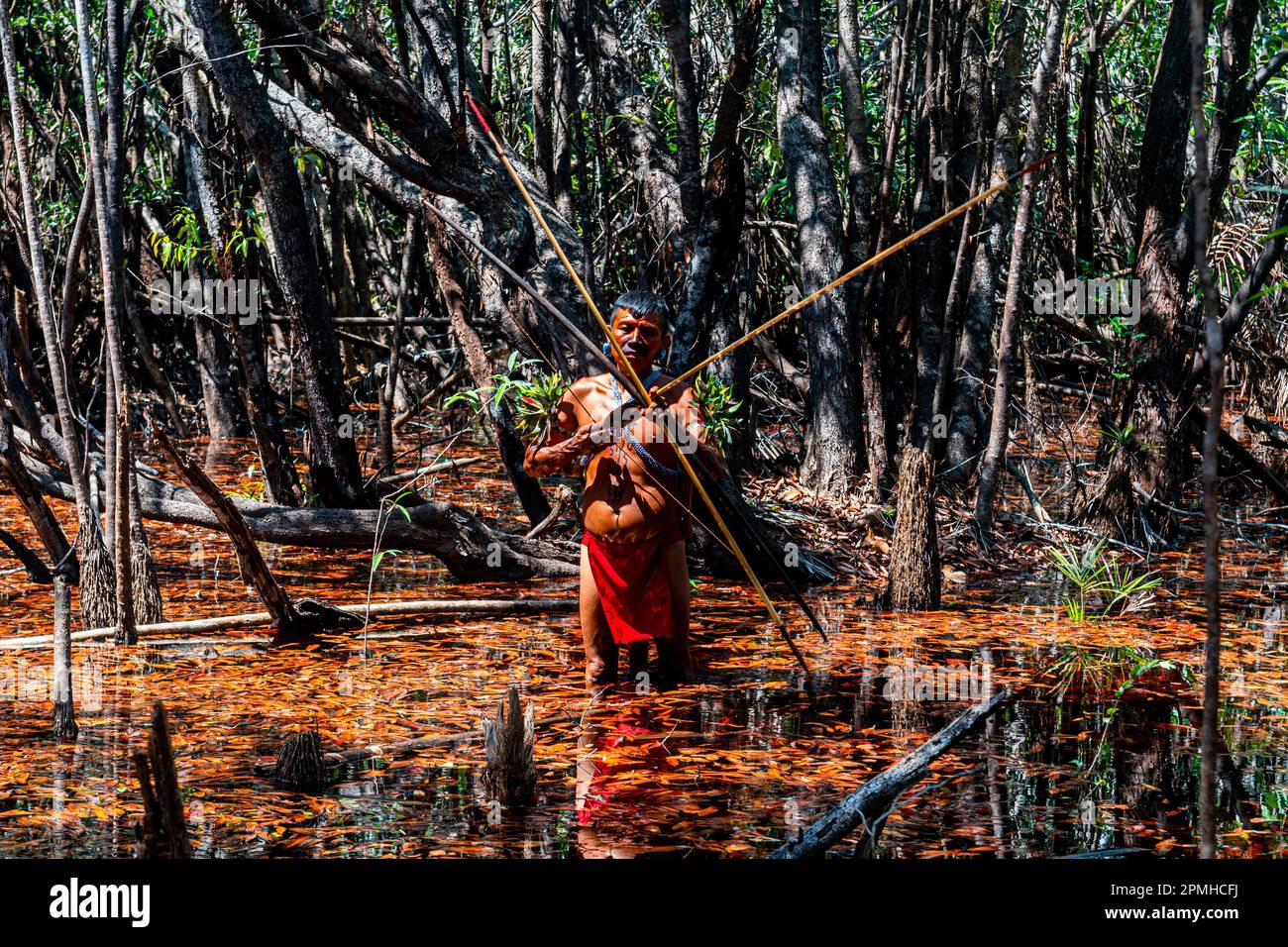 Homme de la tribu Yanomami avec arc et flèche dans les marécages, sud du Venezuela, Amérique du Sud Banque D'Images