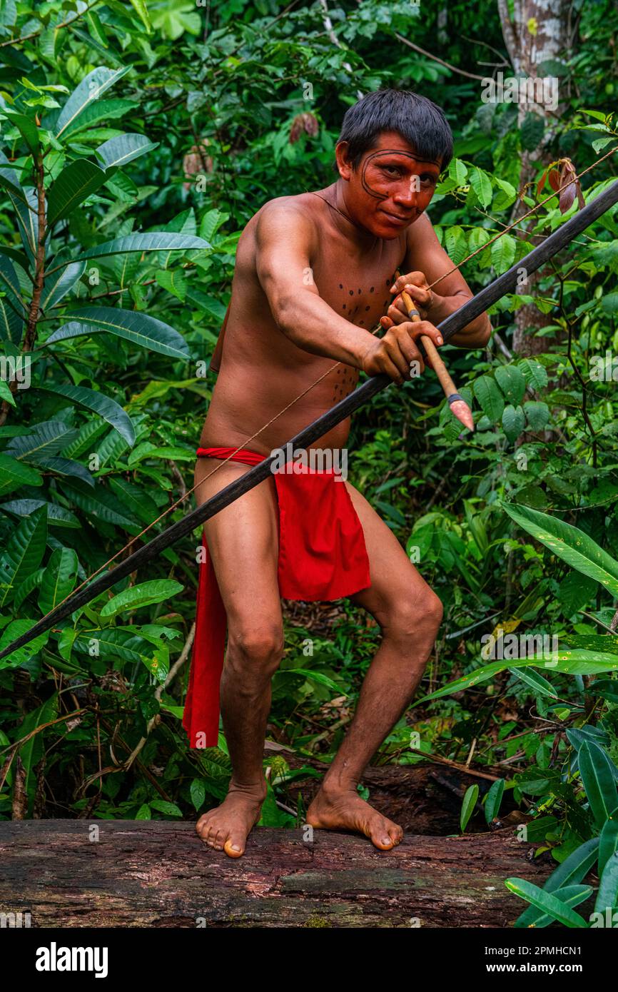 Homme Yanomami avec arc et flèche sur une bûche, tribu Yanomami, sud du Venezuela, Amérique du Sud Banque D'Images