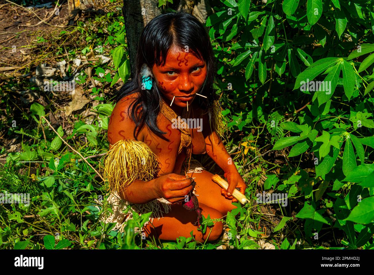 Femme avec peinture corporelle, tribu Yanomami, sud du Venezuela, Amérique du Sud Banque D'Images