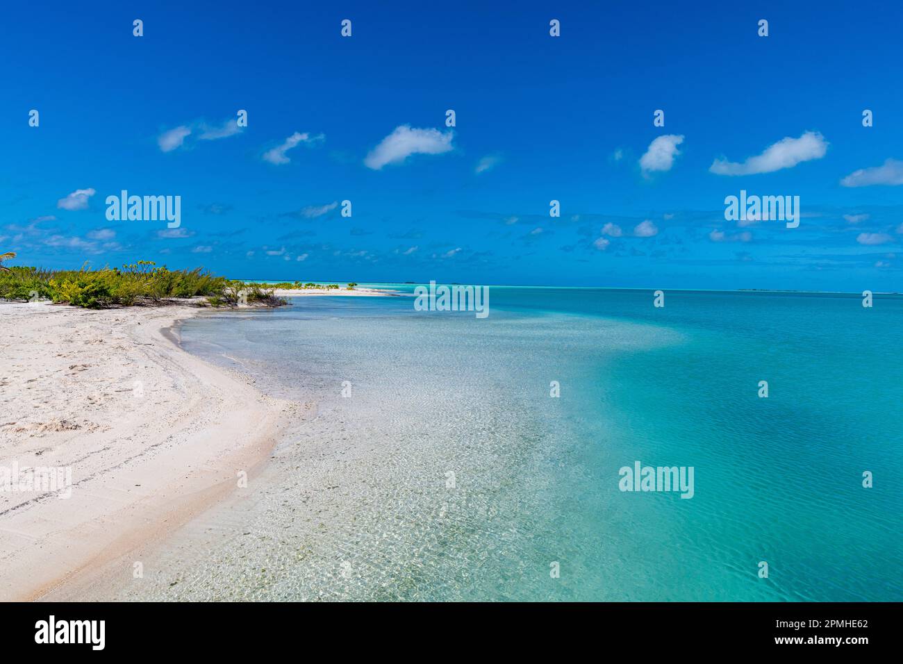 Plage de sable blanc au lagon vert, Fakarava, archipel de Tuamotu, Polynésie française, Pacifique Sud, Pacifique Banque D'Images