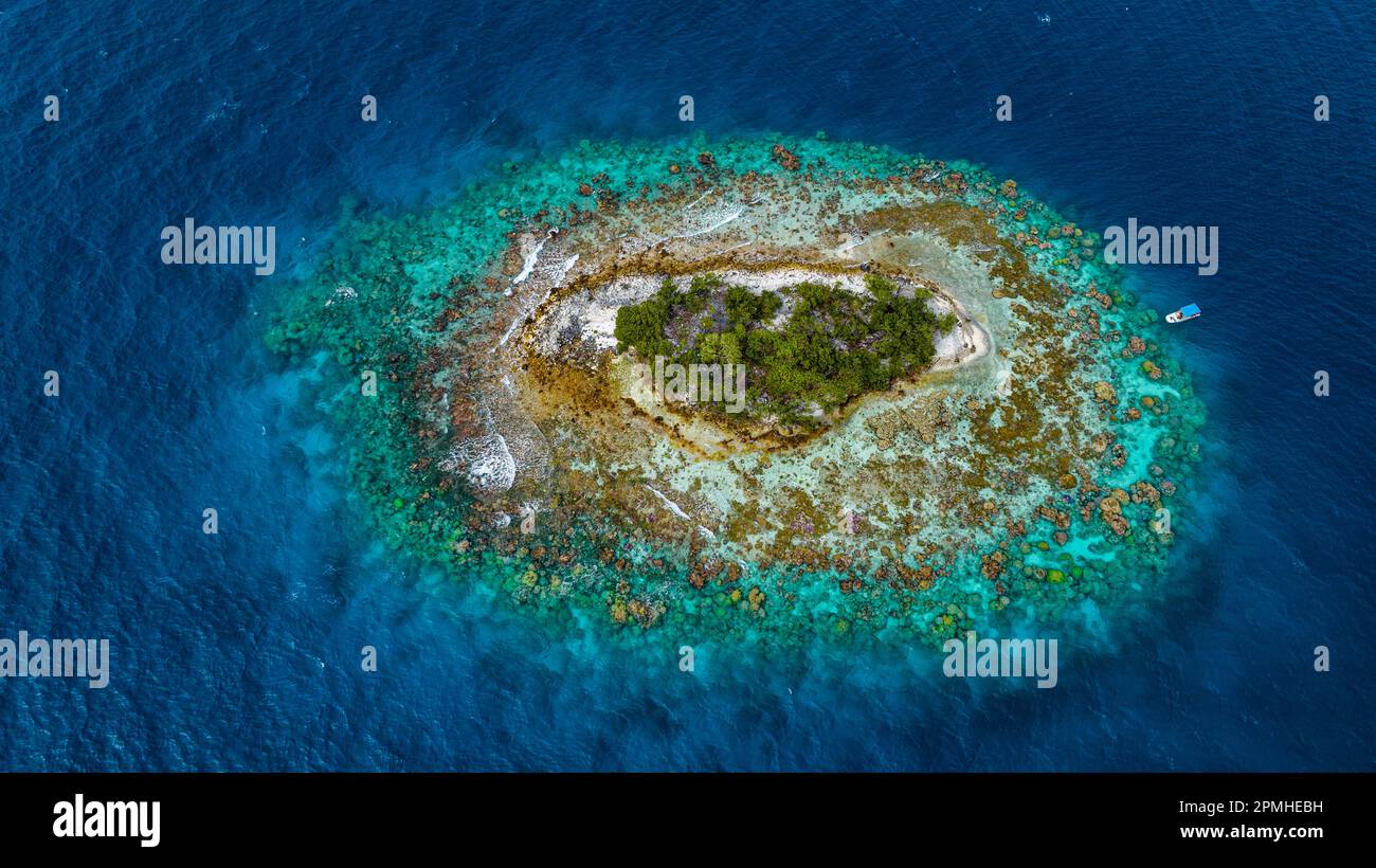 Aérienne de petit îlot rempli d'oiseaux dans le lagon de Fakarava, archipel de Tuamotu, Polynésie française, Pacifique Sud, Pacifique Banque D'Images