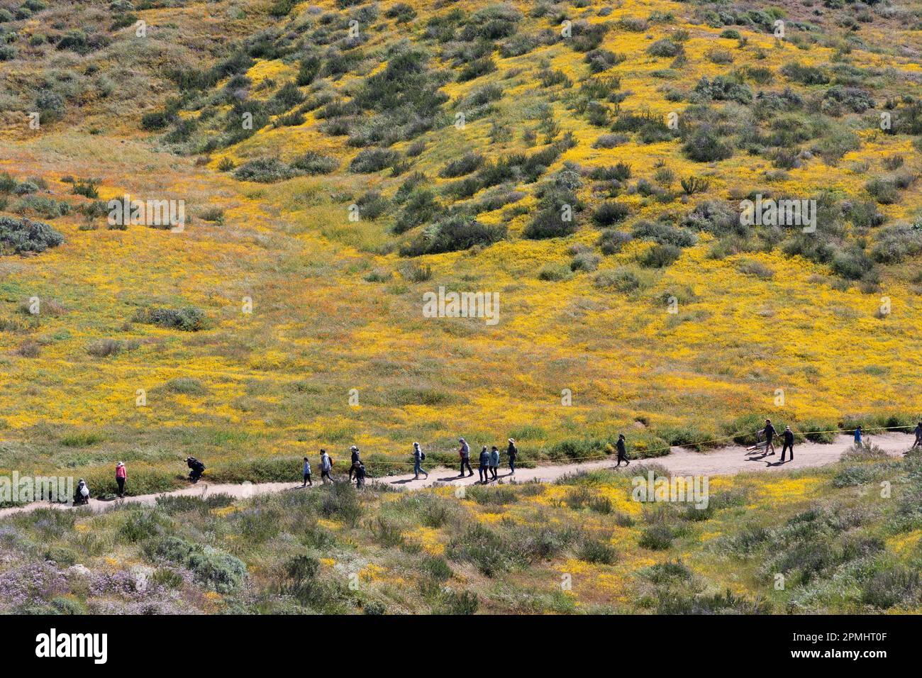 Les gens qui marchent le long du sentier des fleurs sauvages au lac Diamond Valley Banque D'Images