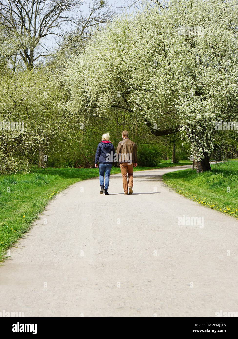 Vue arrière d'un jeune couple faire une promenade dans un parc au printemps Banque D'Images