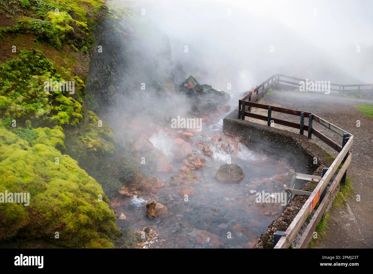 Source chaude, source chaude, Deildartunguhver, près de Reykholt, Reykholtsdalur, Islande Banque D'Images