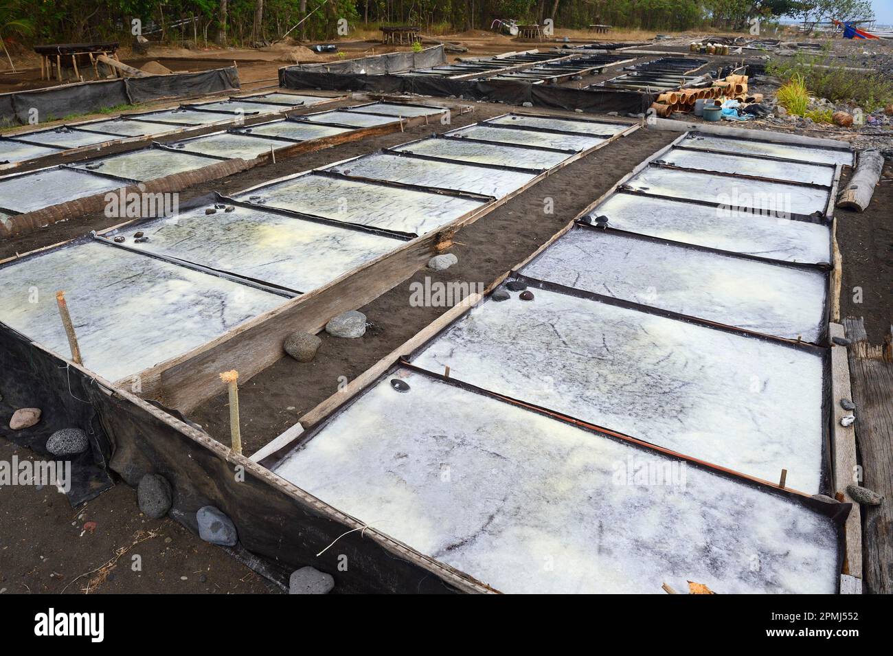 Bacs à feuilles plates pour l'extraction du sel de mer, la fleur de sel, nord de Bali, Bali, Indonésie Banque D'Images