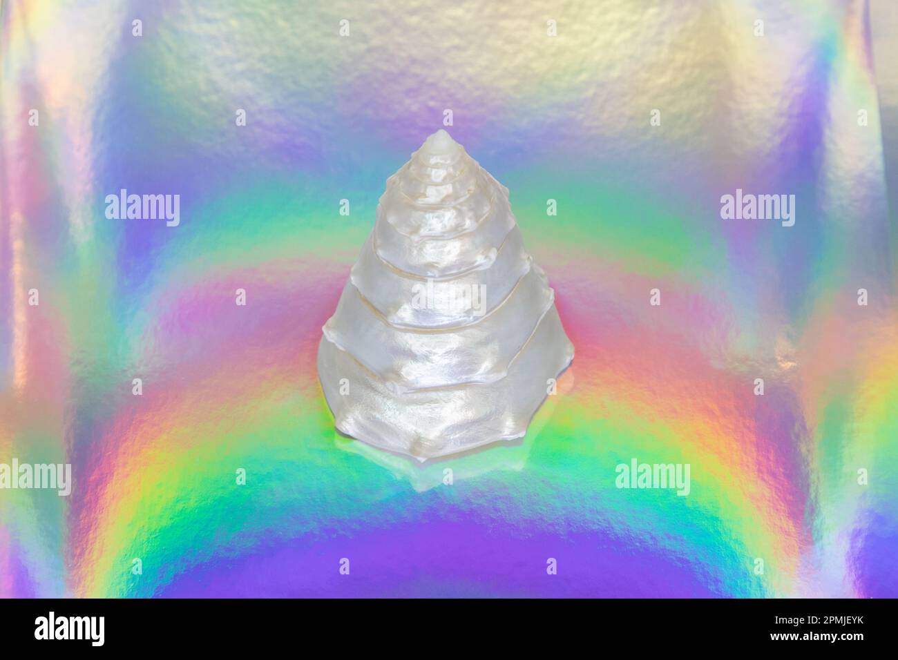 Le coquillage scintillant sur le revêtement holographique arc-en-ciel. Plus de sentiments de mer. Banque D'Images