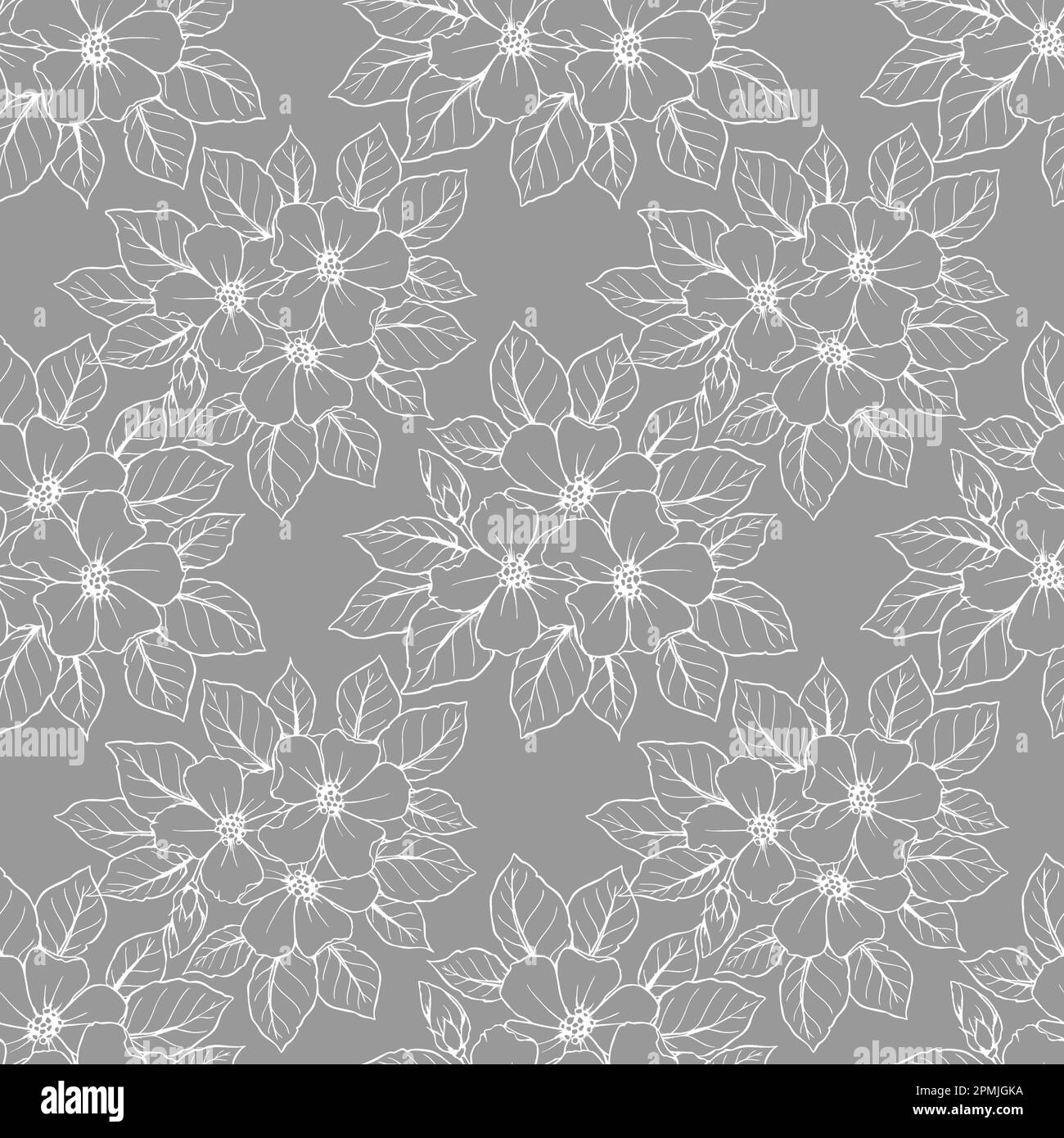 motif de contour sans couture de grandes fleurs blanches sur fond gris, texture, design Banque D'Images