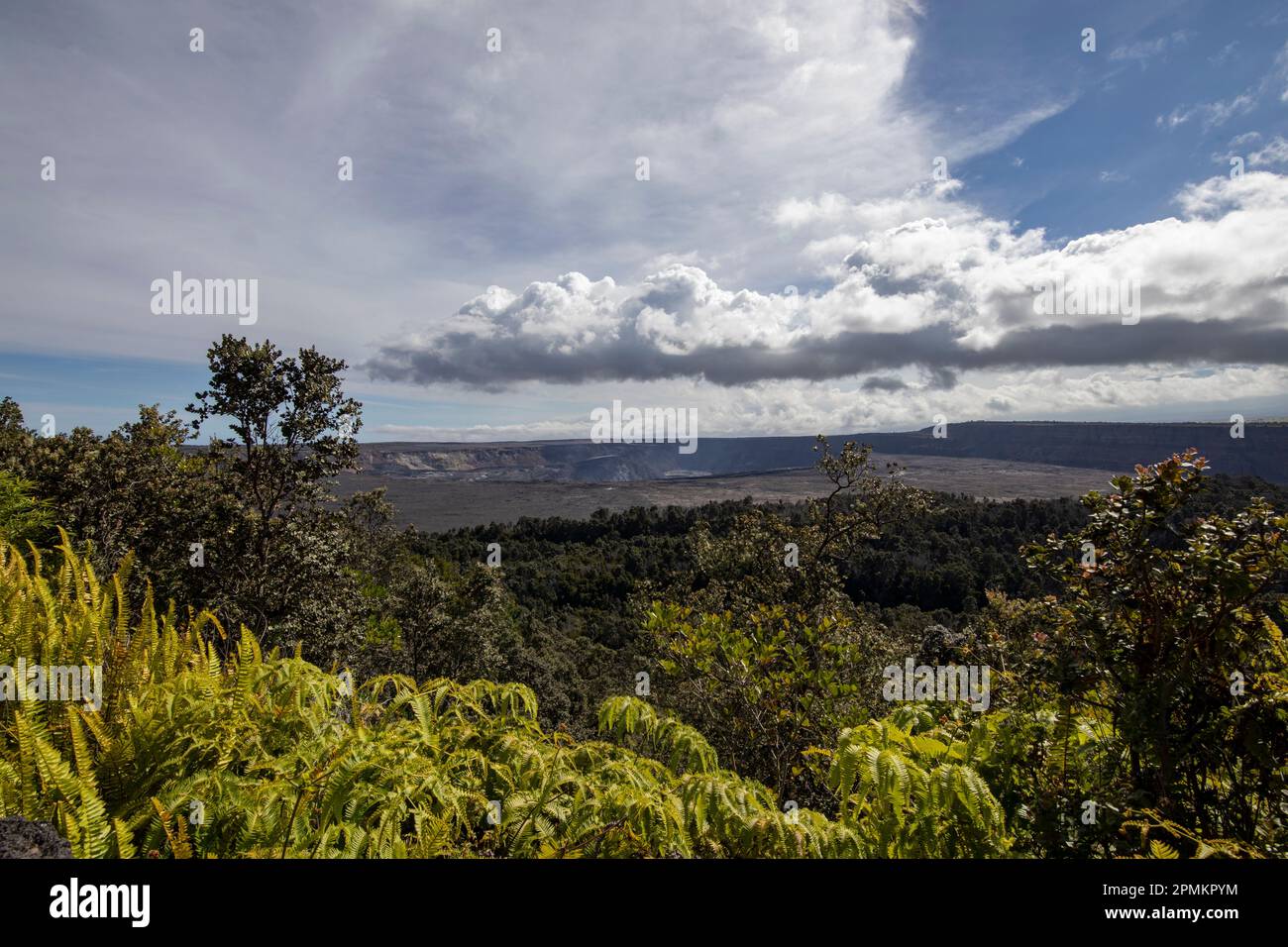 Parc national des volcans d'Hawaï, cratère de Kilauea Banque D'Images