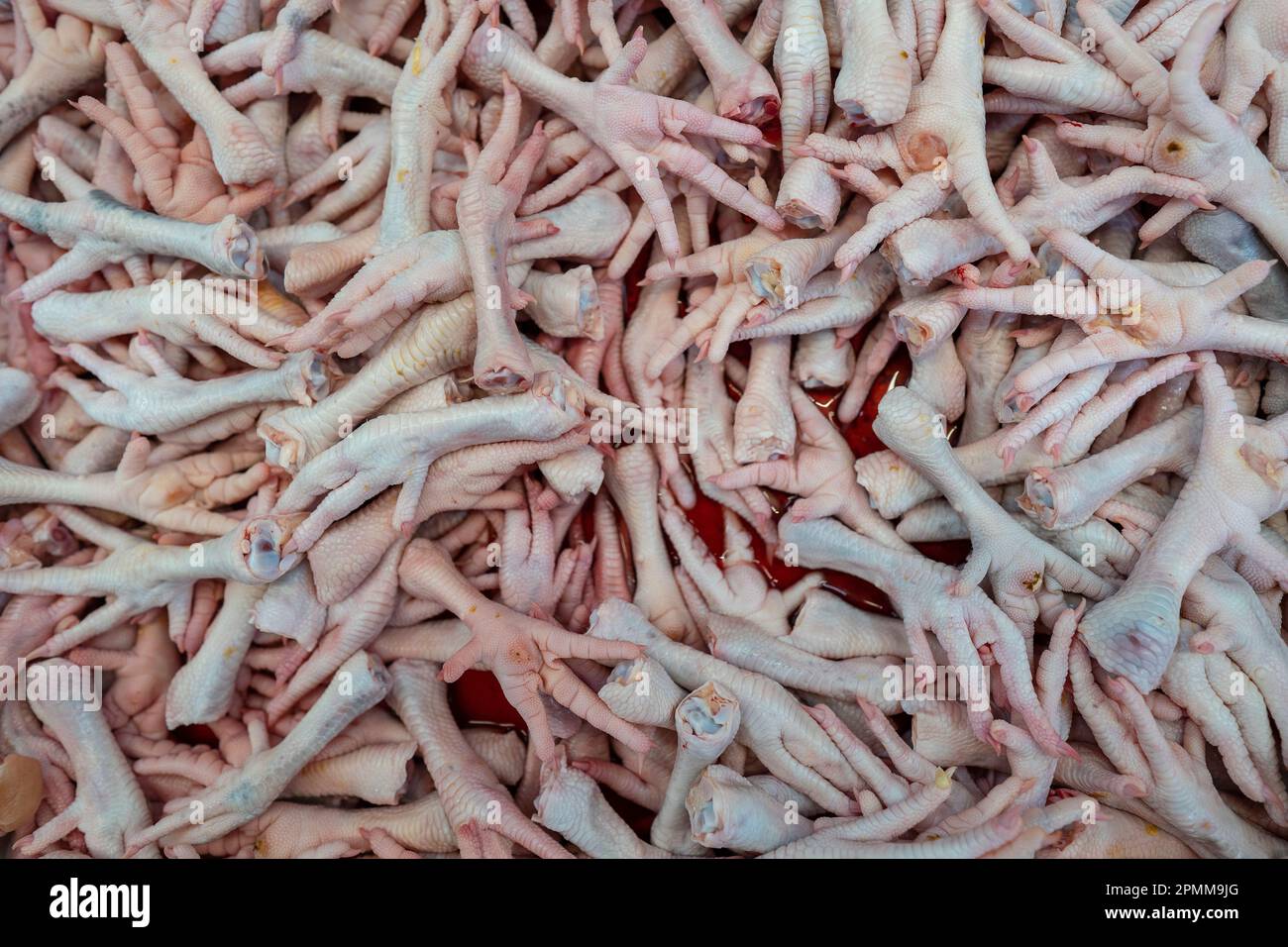 Gros plan de pieds de poulet frais dans le marché, Thaïlande Banque D'Images