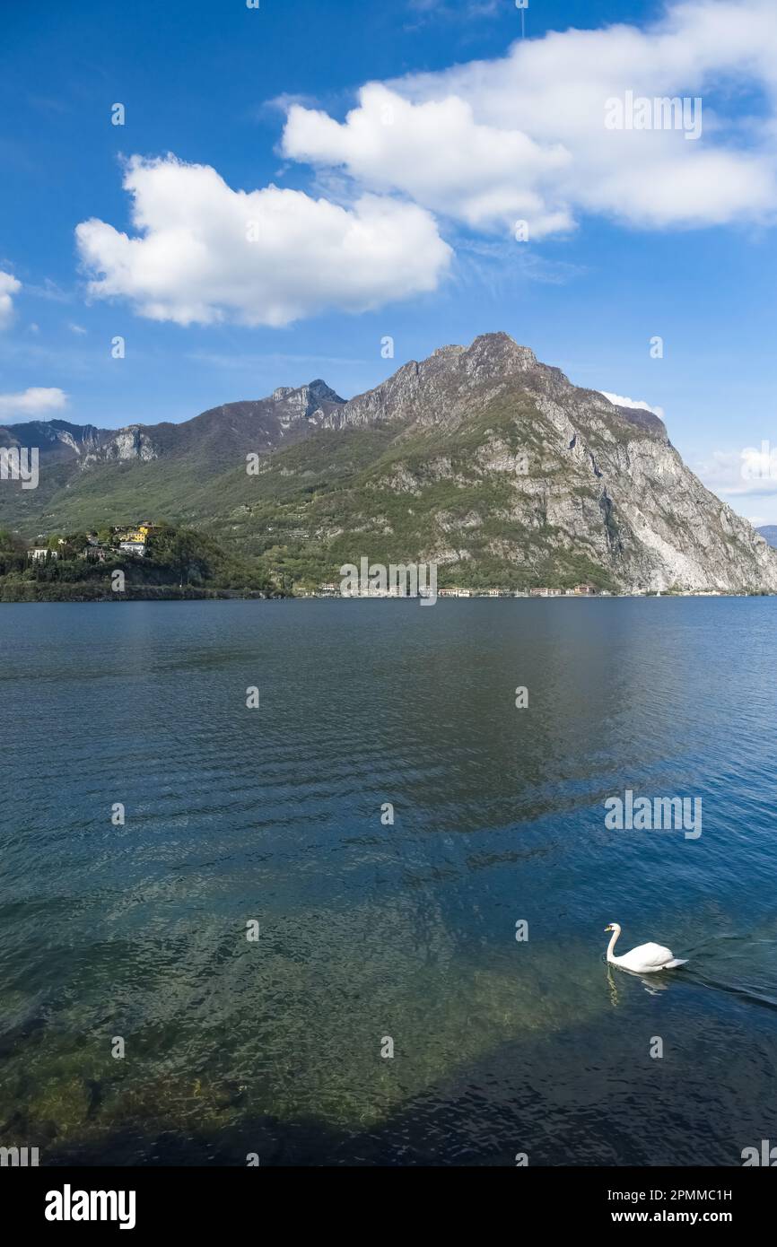 Lac de Côme en Italie, vue de Lecco, avec montagnes en arrière-plan, et un swann Banque D'Images
