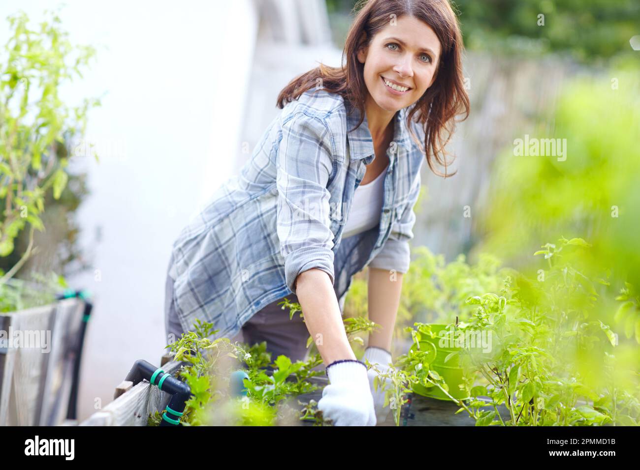 Sans travail dur, rien ne pousse que des mauvaises herbes. une belle femme travaillant dans son jardin. Banque D'Images