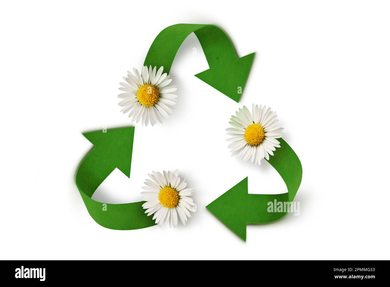 Symbole de recyclage avec Marguerite sur fond blanc - concept d'écologie et de recyclage Banque D'Images