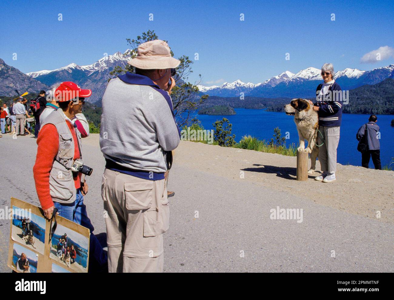 Argentine, région de Bariloche. Les touristes ayant leur photo prise avec un chien St Bernhard dans le quartier des lacs et les montagnes des Andes. Banque D'Images