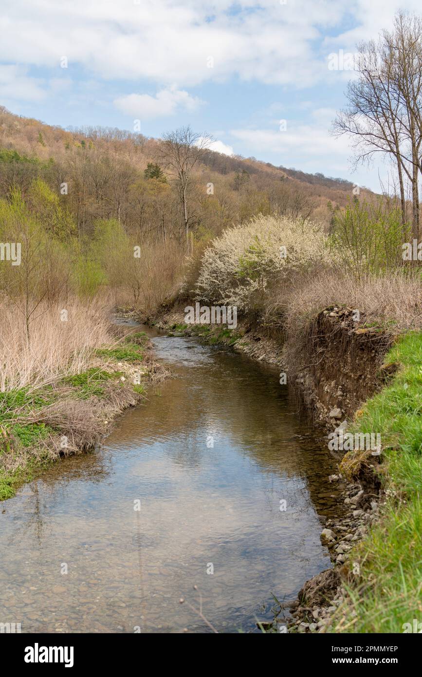 Paysage riverain autour du Grimmmmbach, une petite rivière dans le district de Hohenlohe, dans le sud de l'Allemagne, au début du printemps Banque D'Images