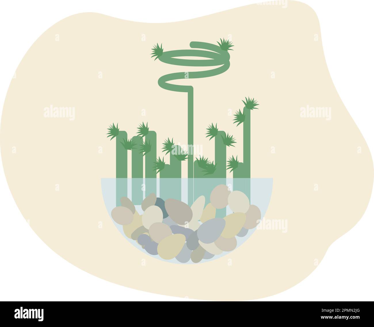 Plante de bambou verte dans un vase en verre. Illustration vectorielle Illustration de Vecteur