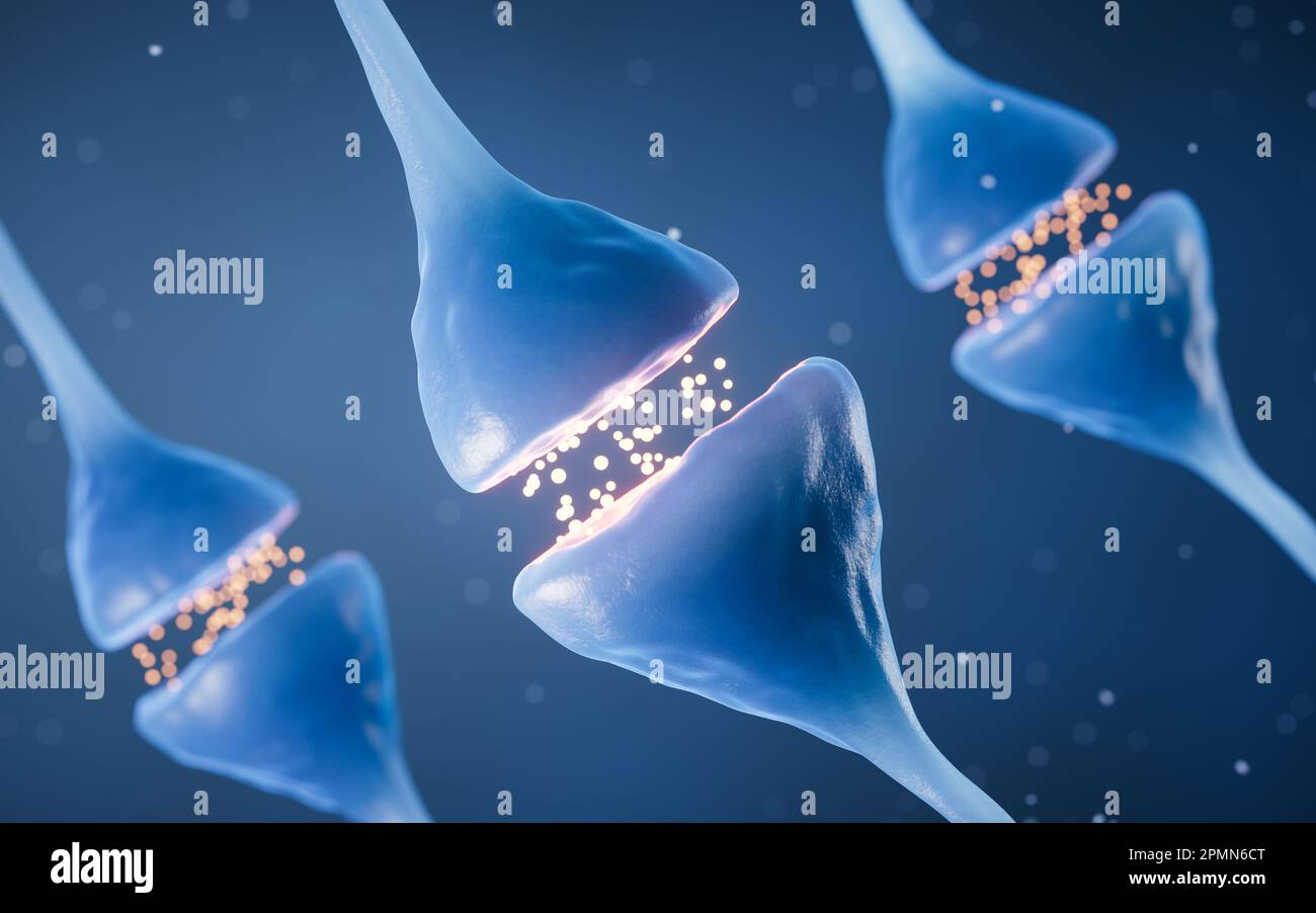 Synapse de la cellule neurone, concept de biologie, rendu 3D. Dessin numérique. Banque D'Images