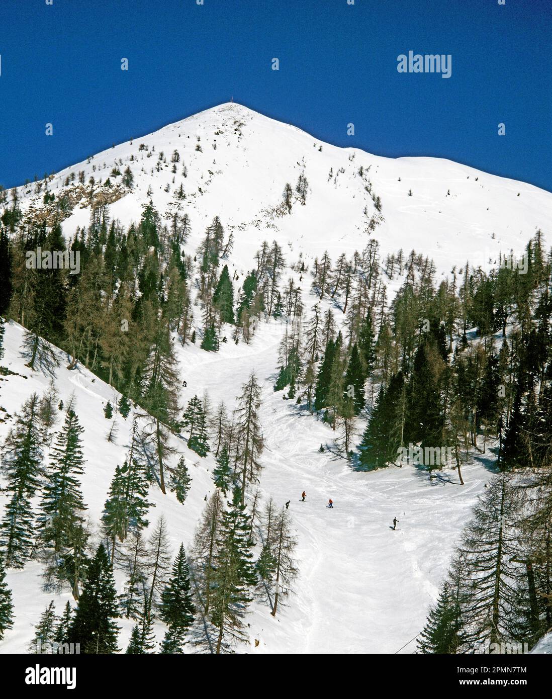 Italie. Forni Di Sopra. Piste de ski des Dolomites. Banque D'Images