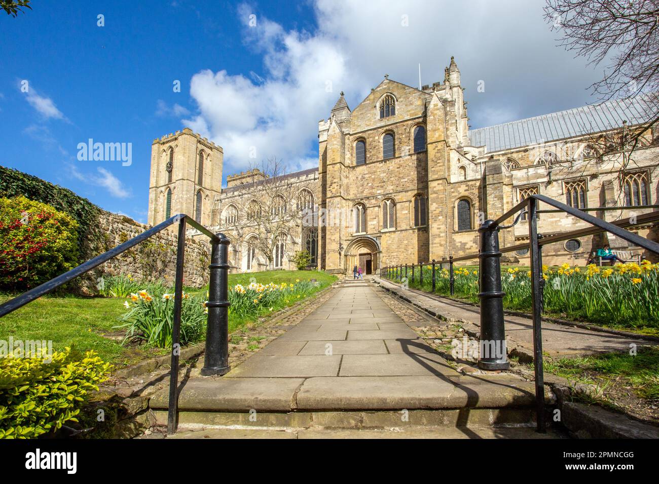 Cathédrale de Ripon dans la ville de Ripon, dans le nord du Yorkshire, en Angleterre, au soleil de printemps avec des jonquilles en fleur Banque D'Images