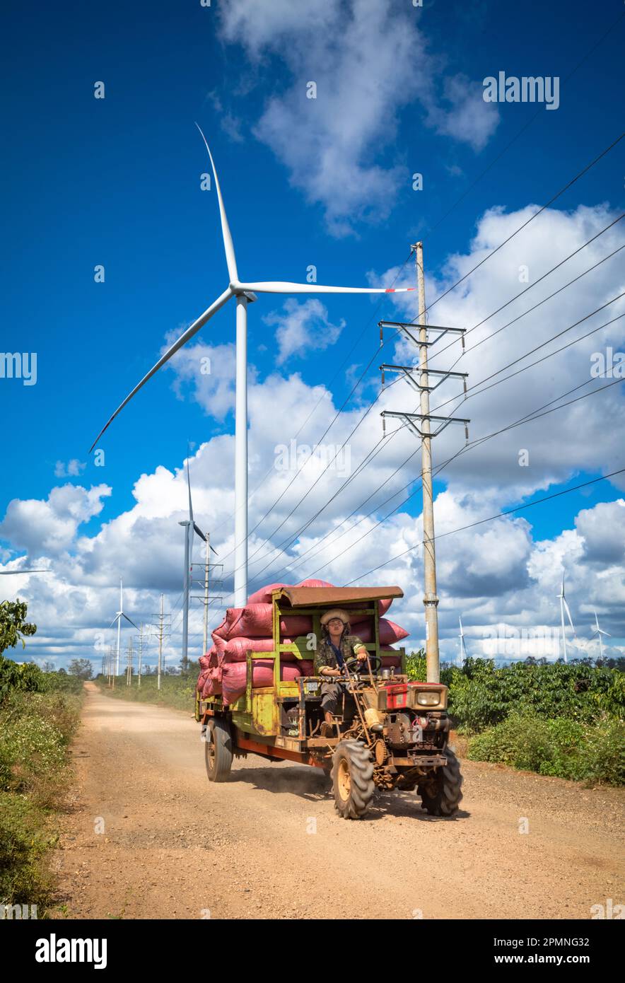 Des éoliennes géantes s'élèvent au-dessus des plantations d'arbres à café, tandis qu'une remorque-tracteur transporte des sacs de cerises de café sur le plateau des Highlands centraux o Banque D'Images