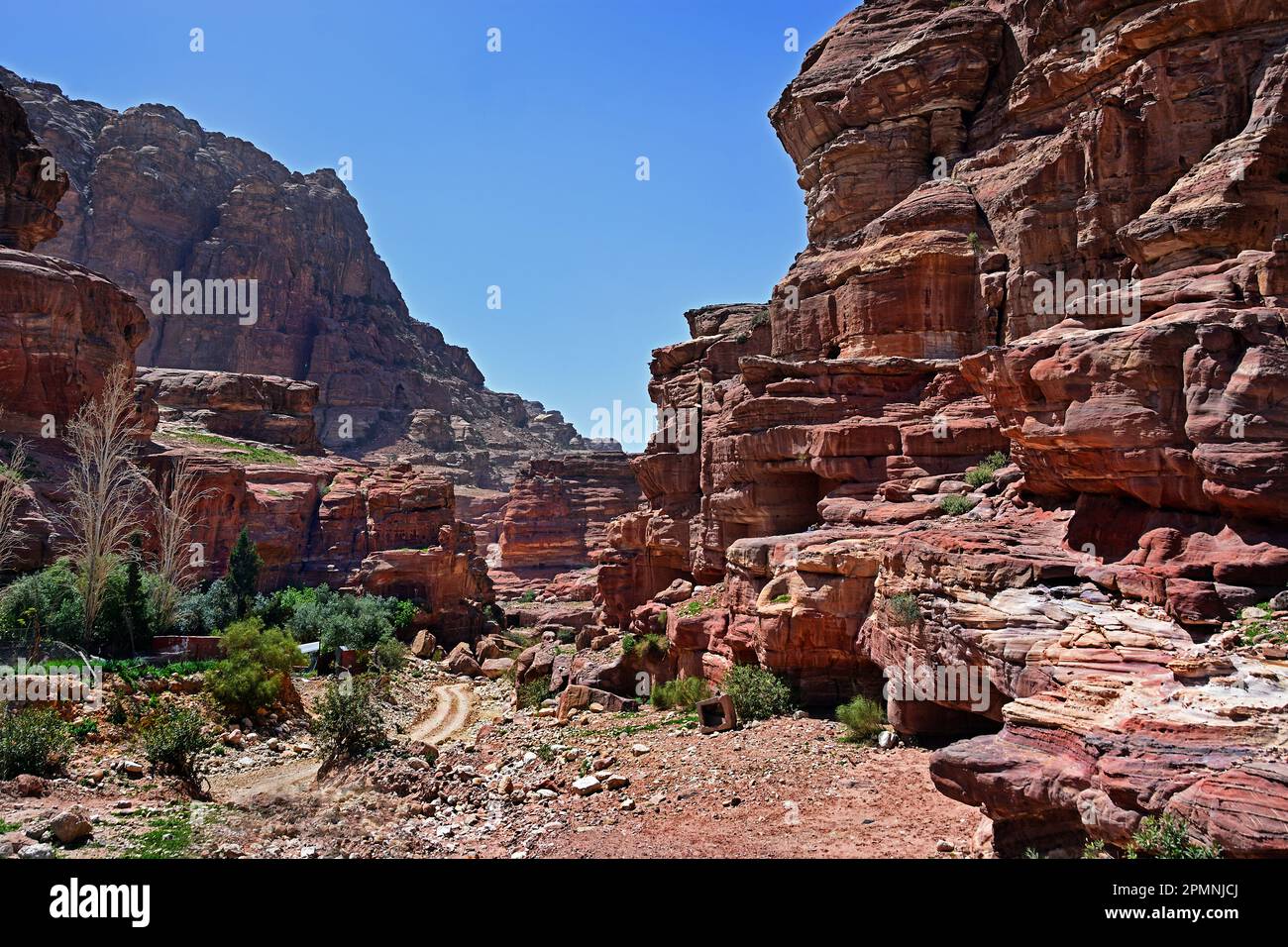 Petra ville Nabataean caravane-ville façades découpées en pierre Jordanie grès sculpté désert de roche. Banque D'Images