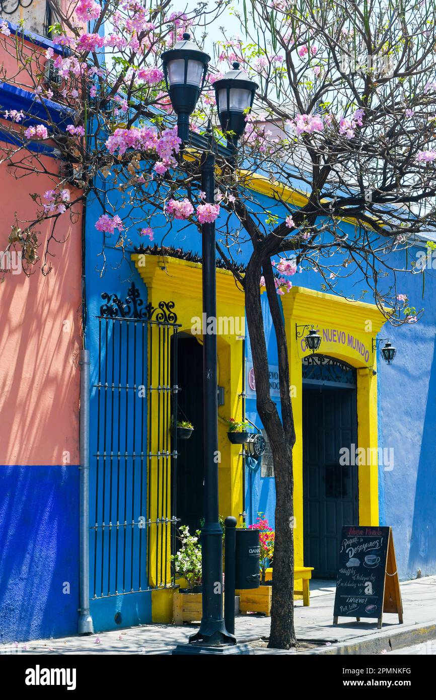 Scène pittoresque, centre colonial d'Oaxaca Mexique Banque D'Images
