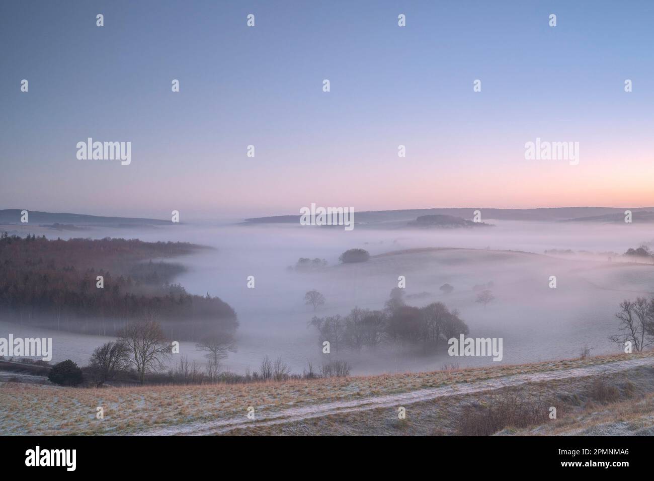 Brume matinale située dans la vallée de Singleton dans le parc national de South Downs en automne. Banque D'Images