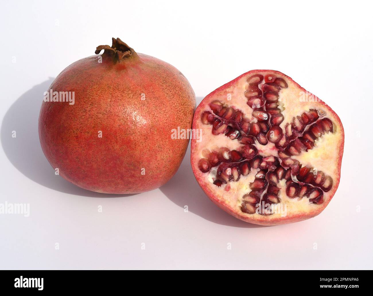 Granatapfel Punica granatumist eine sehr alte Zier- und Nutzpflanze mit leckeren Fruechten. Grenade Punica granatum est un très vieux ornemental et u Banque D'Images