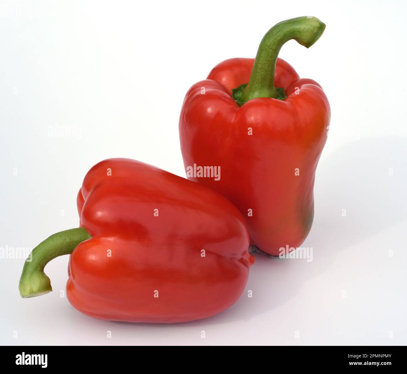 Paprika, Capsicum annuum ist eine Gemueseart die zum Teil recht scharf sein kann. Le paprika, Capsicum annuum, est un type de légume qui peut parfois Banque D'Images