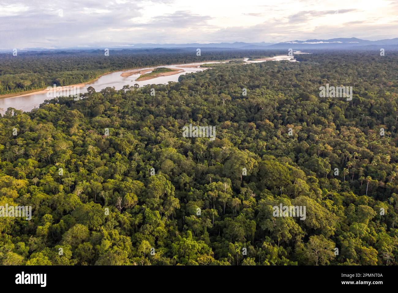 Vue aérienne du paysage forestier de la réserve de Tambopata dans le bassin amazonien du sud-est du Pérou; Puerto Maldonado, Madre de Dios, Pérou Banque D'Images
