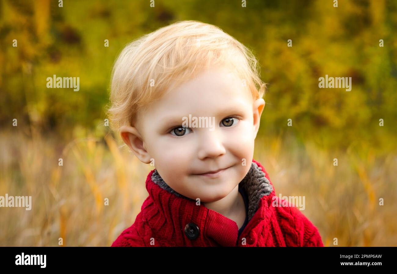 Portrait en gros plan d'un tout-petit garçon aux cheveux blonds dans un parc en automne; Edmonton, Alberta, Canada Banque D'Images