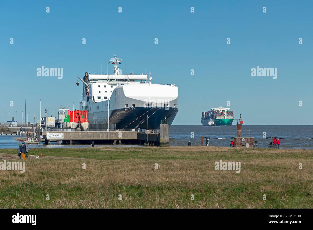 Ferry DFDS Selandia Seaways, navire à conteneurs, mer du Nord, port, Cuxhaven, Basse-Saxe, Allemagne Banque D'Images