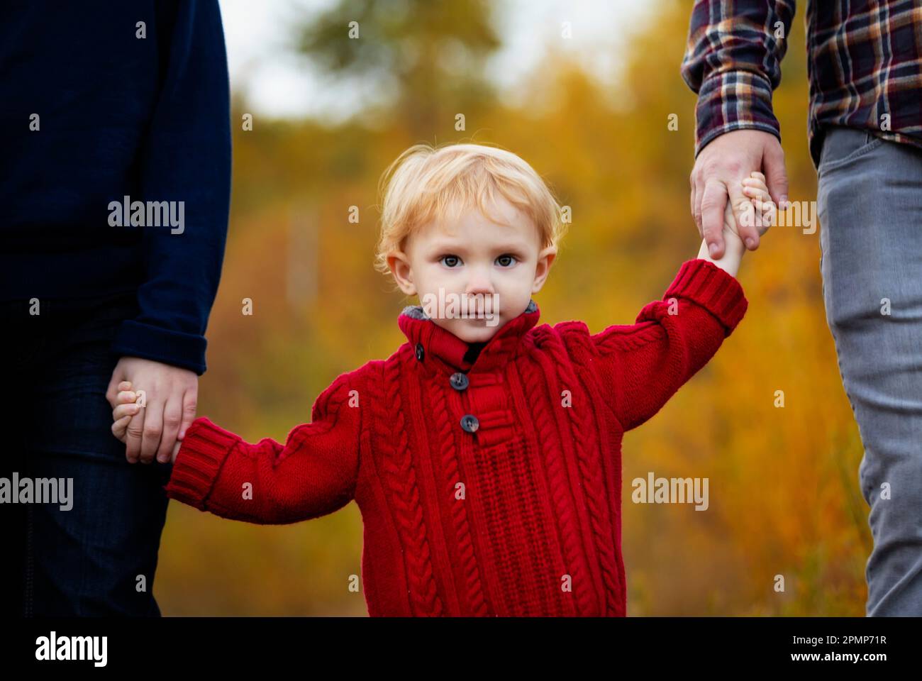 Portrait d'un tout-petit garçon tenant les mains de parents à l'extérieur dans un parc municipal en automne; Edmonton, Alberta, Canada Banque D'Images