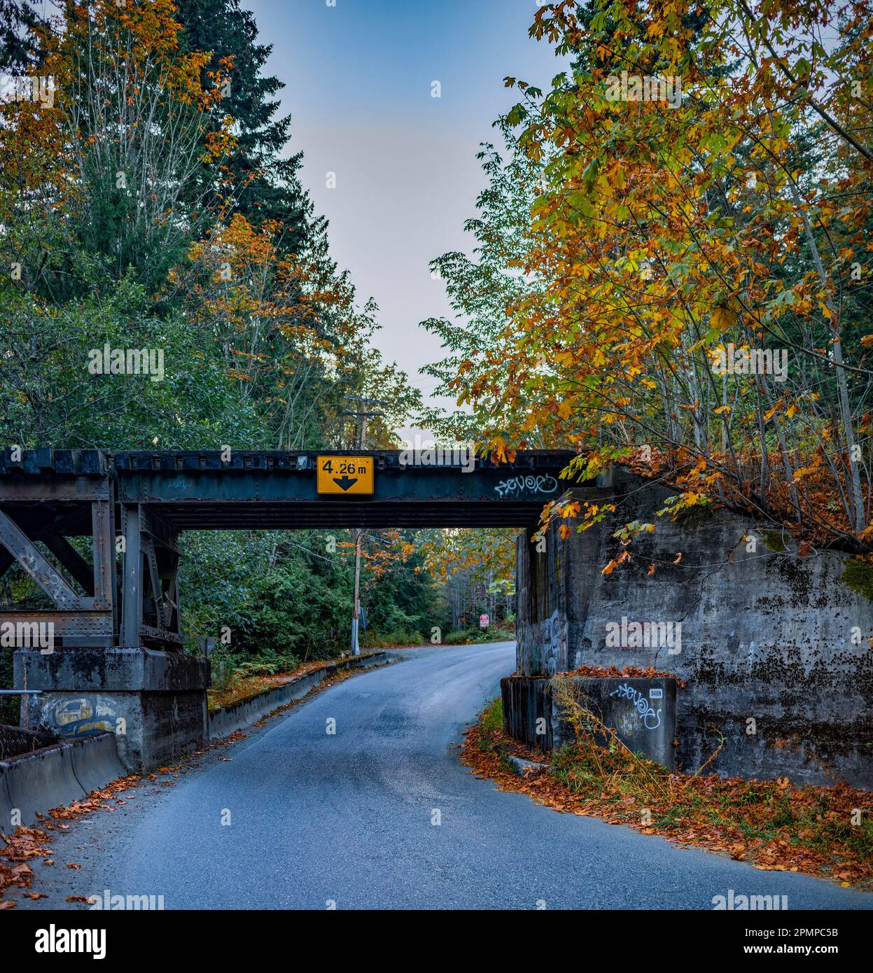 Pont de train sur une route de campagne en automne, au nord de Ladysmith, sur l'île de Vancouver; île de Vancouver, Colombie-Britannique, Canada Banque D'Images Pont de train sur une route de campagne en automne, au nord de Ladysmith, sur l'île de Vancouver; île de Vancouver, Colombie-Britannique, Canada Banque D'Images