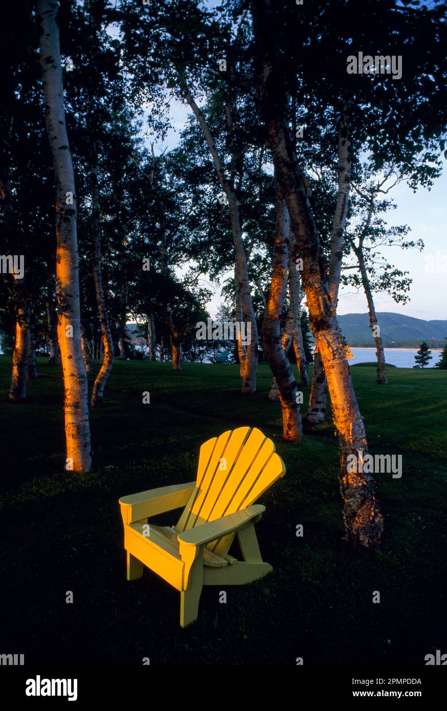Chaise est assis dans un rayon de soleil parmi les arbres près d'un lac ; Lake Placid, New York, États-Unis d'Amérique Banque D'Images