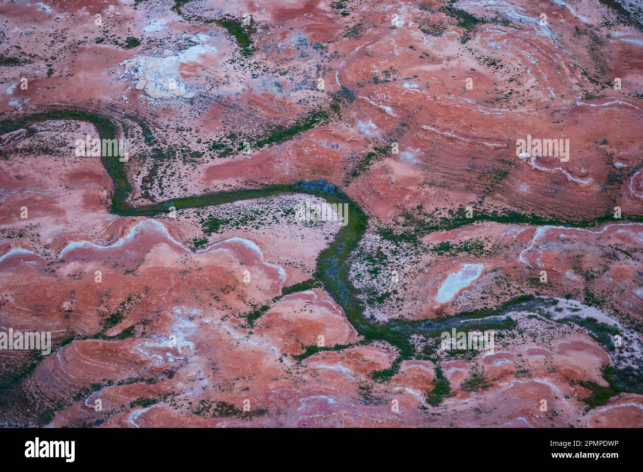 Padre Bay dans un lit de lac sec d'Alstrom point, Glen Canyon National Recreation Area, Utah, États-Unis ; Utah, États-Unis d'Amérique Banque D'Images