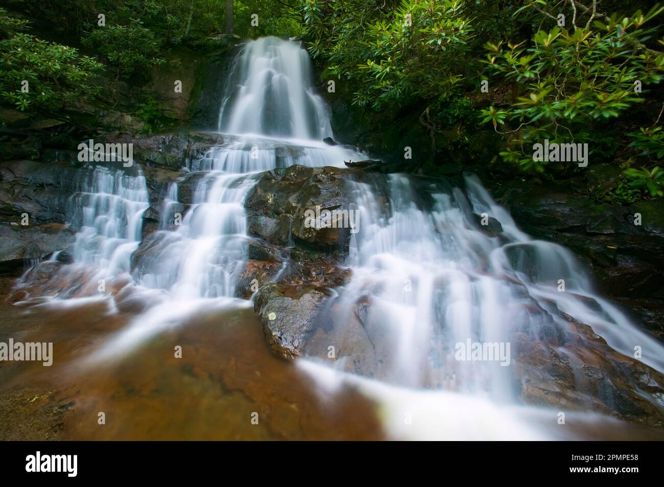 Chute d'eau de Laurel Falls se déversant sur des rochers dans le parc national des Great Smoky Mountains, Tennessee, États-Unis ; Tennessee, États-Unis d'Amérique Banque D'Images