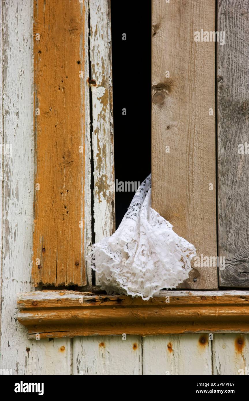 Le rideau de dentelle bat à travers une fissure dans une fenêtre ; Vaeroya, îles Lofoten, Norvège Banque D'Images