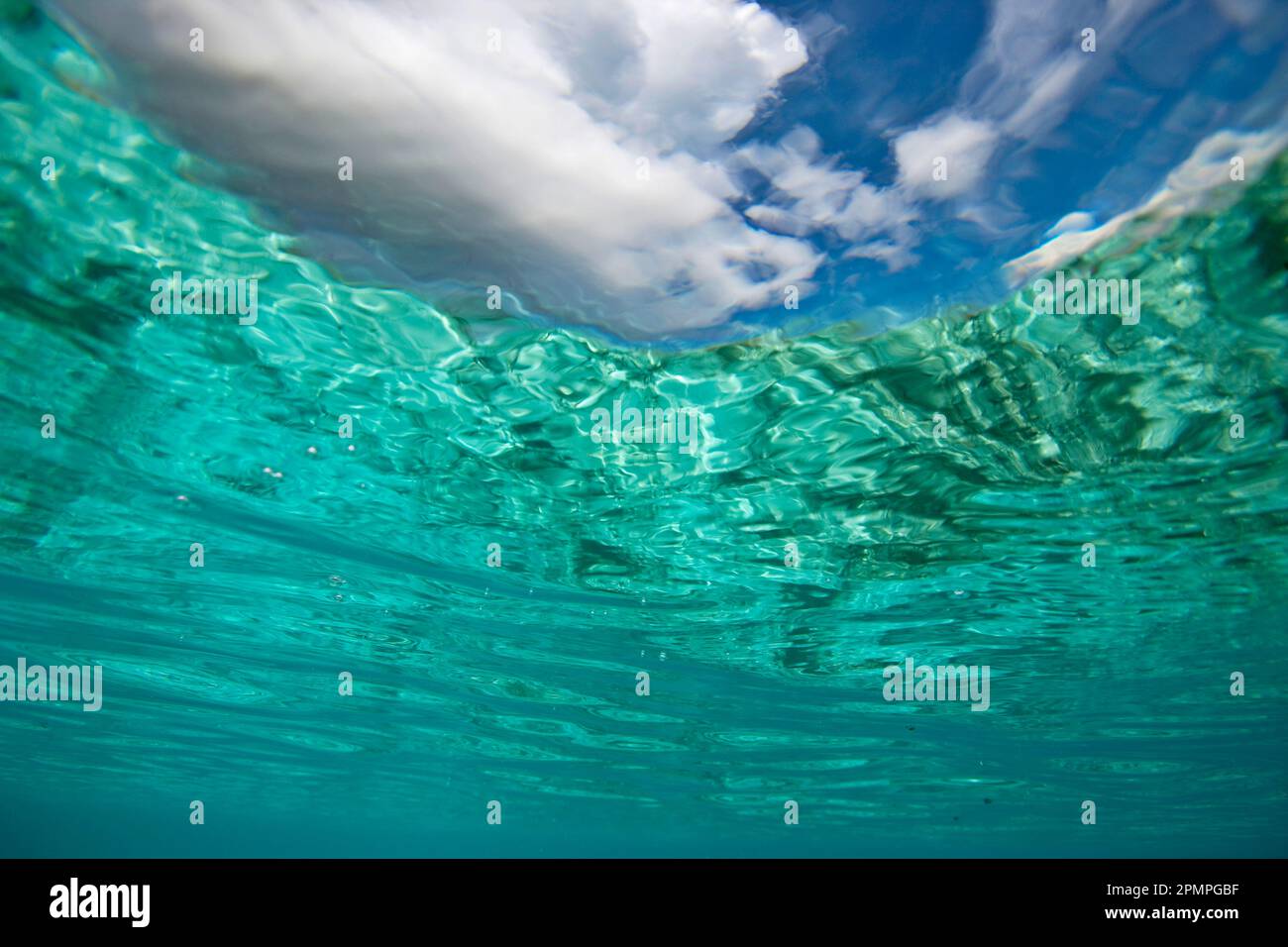 Vue sous-marine du ciel au-dessus de l'eau bleue ; île de l'Assomption, Seychelles Banque D'Images