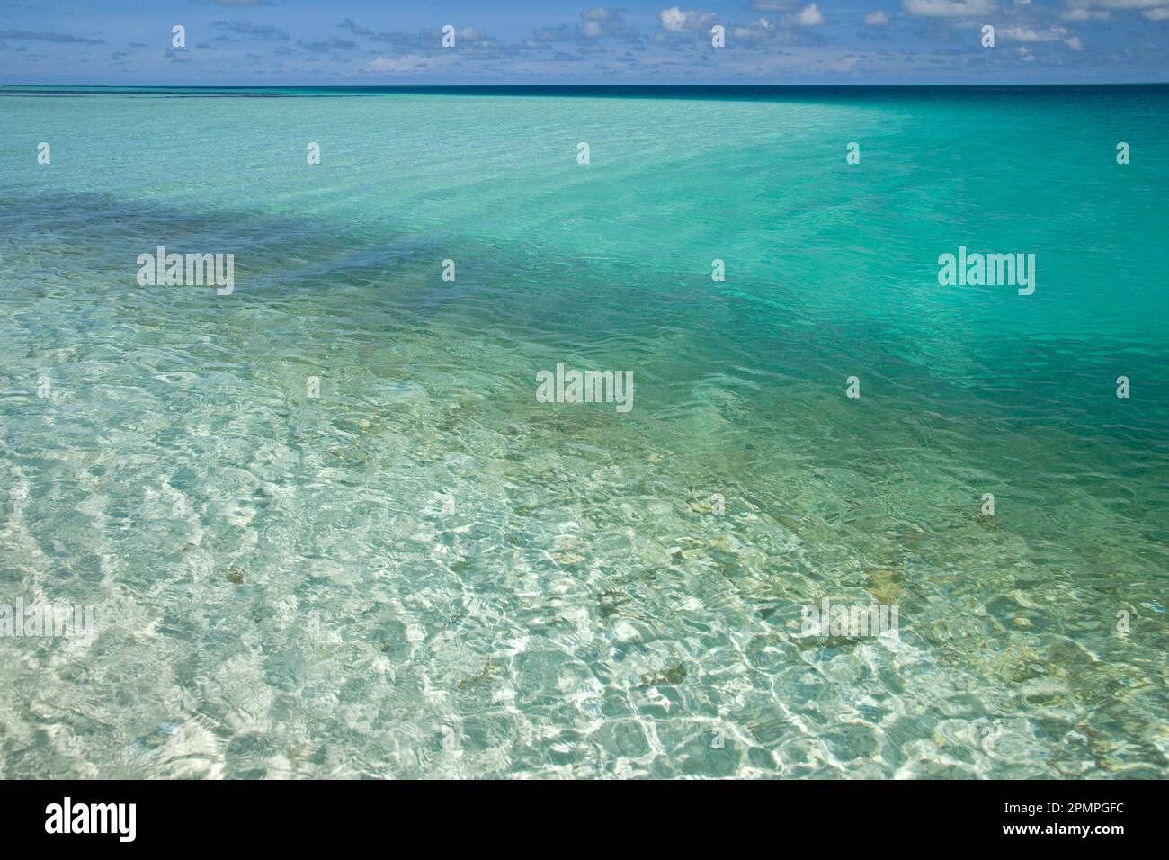 Eau turquoise claire dans les îles Seychelles ; Seychelles Banque D'Images