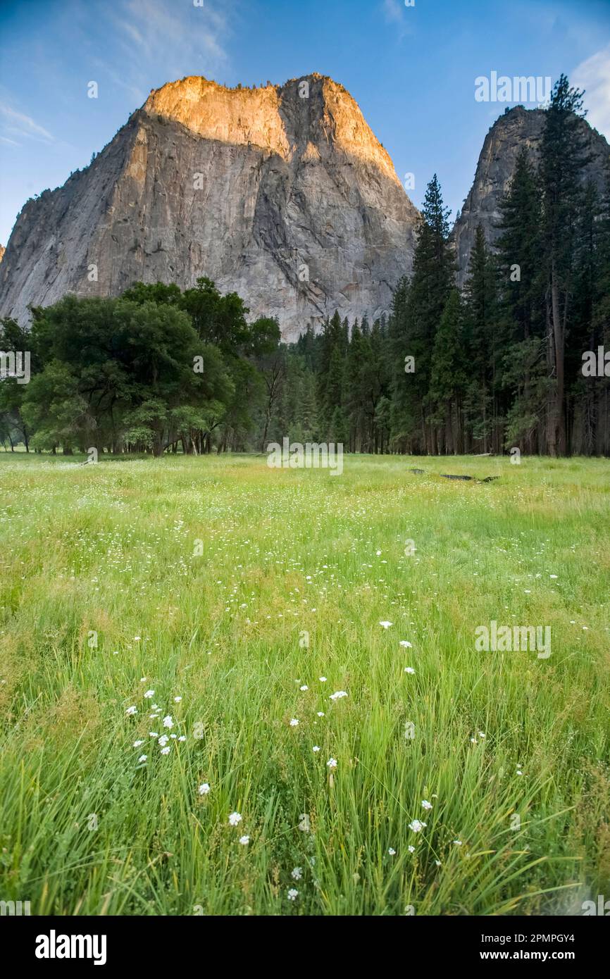 Vue de Cathedral Rocks et prairie dans le parc national de Yosemite, Cathedral Rocks Yosemite Valley, Californie, États-Unis ; Californie, États-Unis d'Amérique Banque D'Images