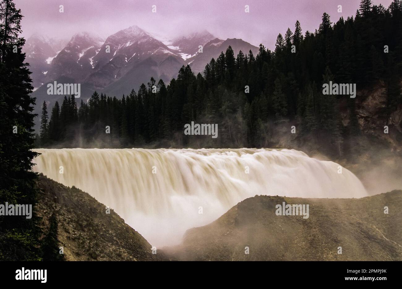 Chute d'eau tonitruante sur la rivière Kicking Horse dans le parc national Yoho, Colombie-Britannique, Canada ; Colombie-Britannique, Canada Banque D'Images