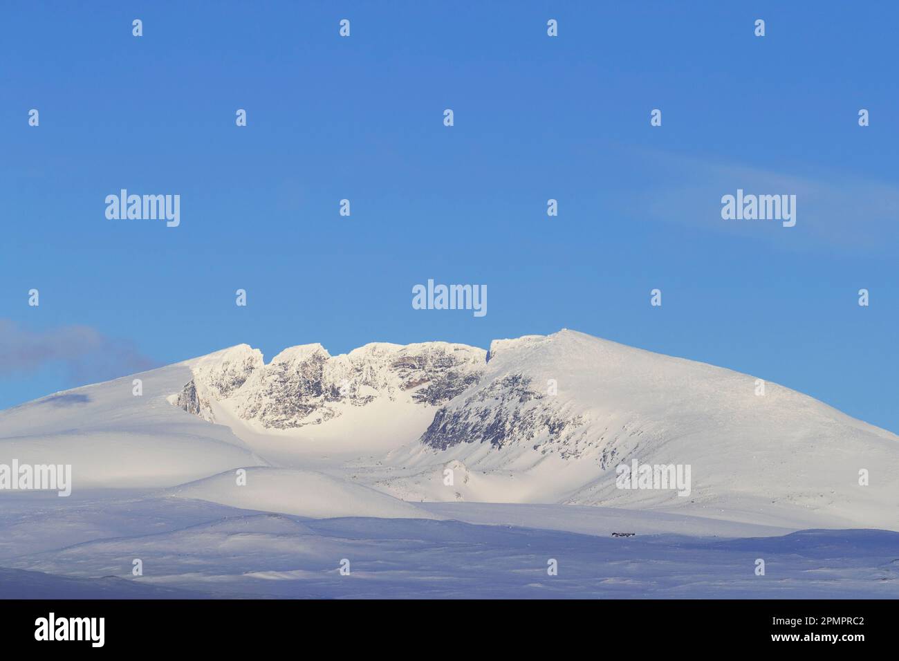 Snøhetta dans le parc national de Dovrefjell-Sunndalsfjella en hiver, la plus haute montagne de la chaîne de montagnes de Dovrefjell en Norvège Banque D'Images