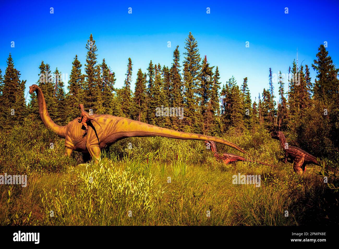 3 Coelophysis dinosaures attaquant un Brachiosaurus à la forêt de Jurrasic, une attraction touristique avec des dinosaures animatroniques, juste à l'extérieur de Gibbons; Alberta, Banque D'Images