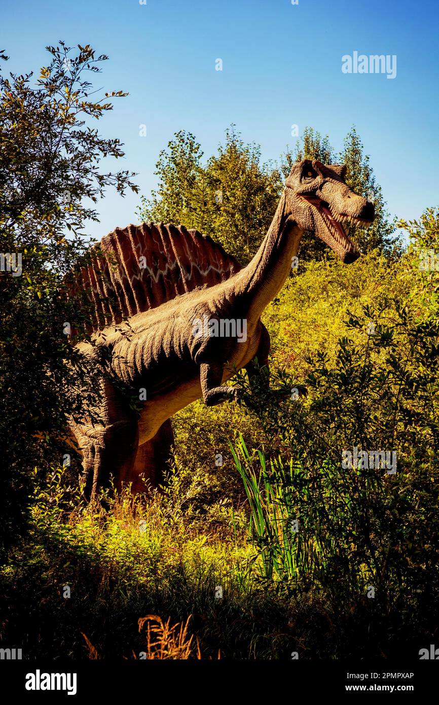 À Spinosaurus, dans la forêt de Jurrasic, une attraction touristique avec des dinosaures animatroniques, juste à l'extérieur de Gibbons; Alberta, Canada Banque D'Images