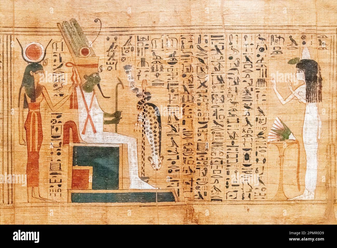 Une ancienne écriture originale de papyrus avec des hiéroglyphes exposée au Musée des Antiquités égyptiennes au Caire, en Égypte Banque D'Images