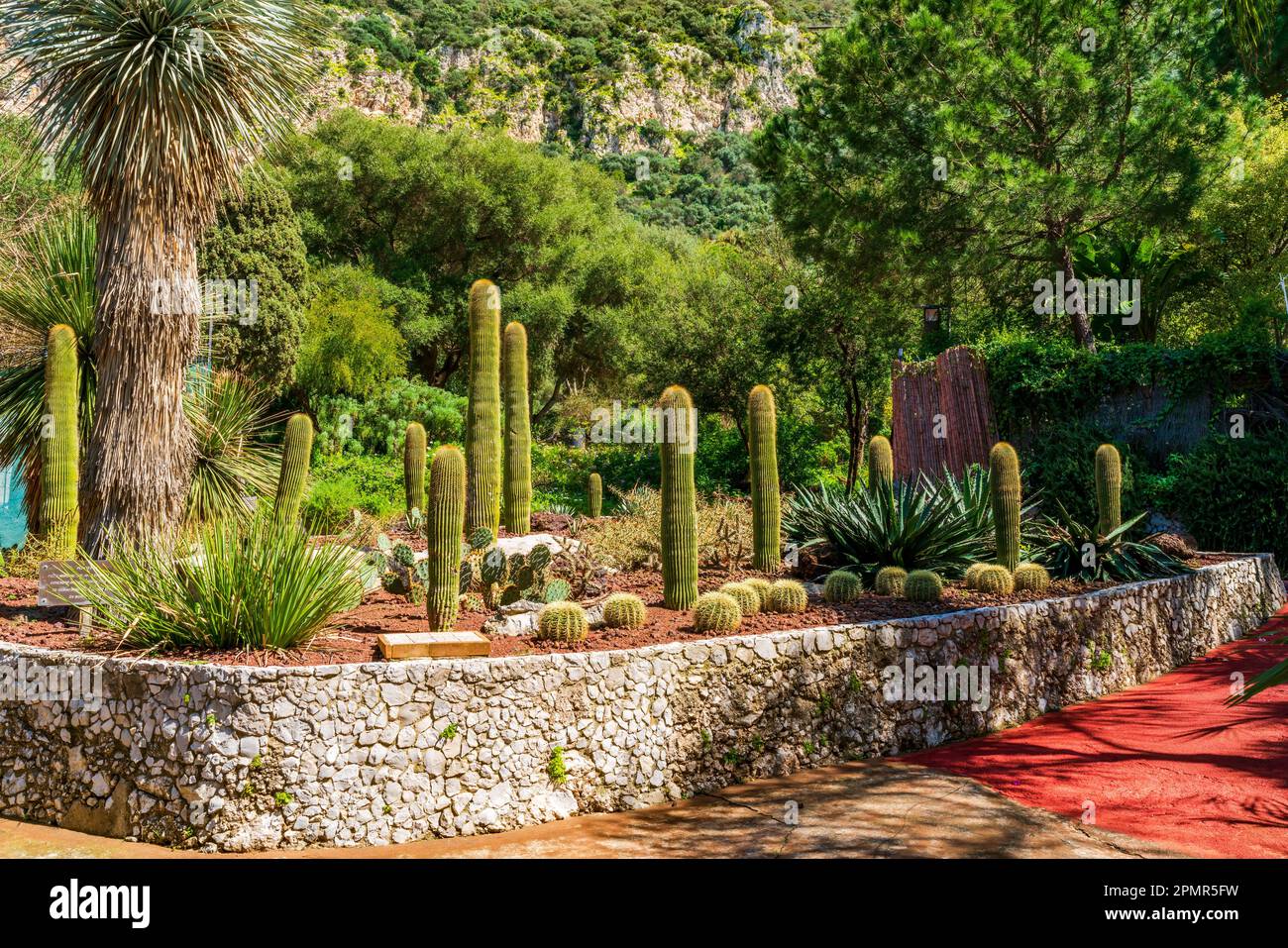 Jardin botanique de la Alameda, dans la ville de Gibraltar, Royaume-Uni Banque D'Images