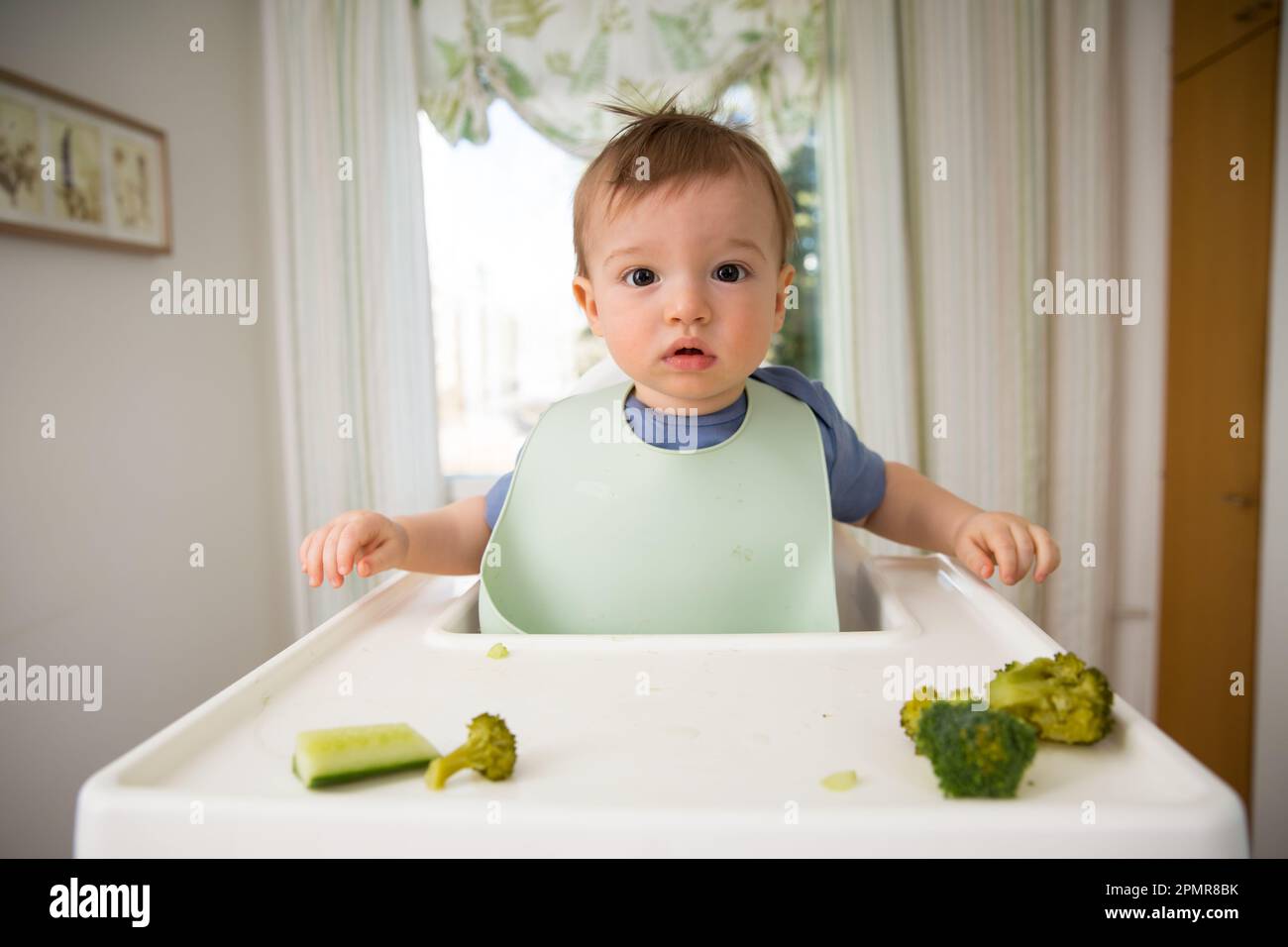 Bébé mignon mangeant d'abord de la nourriture solide, bébé assis dans une chaise haute. Enfant goûtant des légumes à la table, découvrant de nouveaux aliments. Cuisine intérieure confortable. Banque D'Images