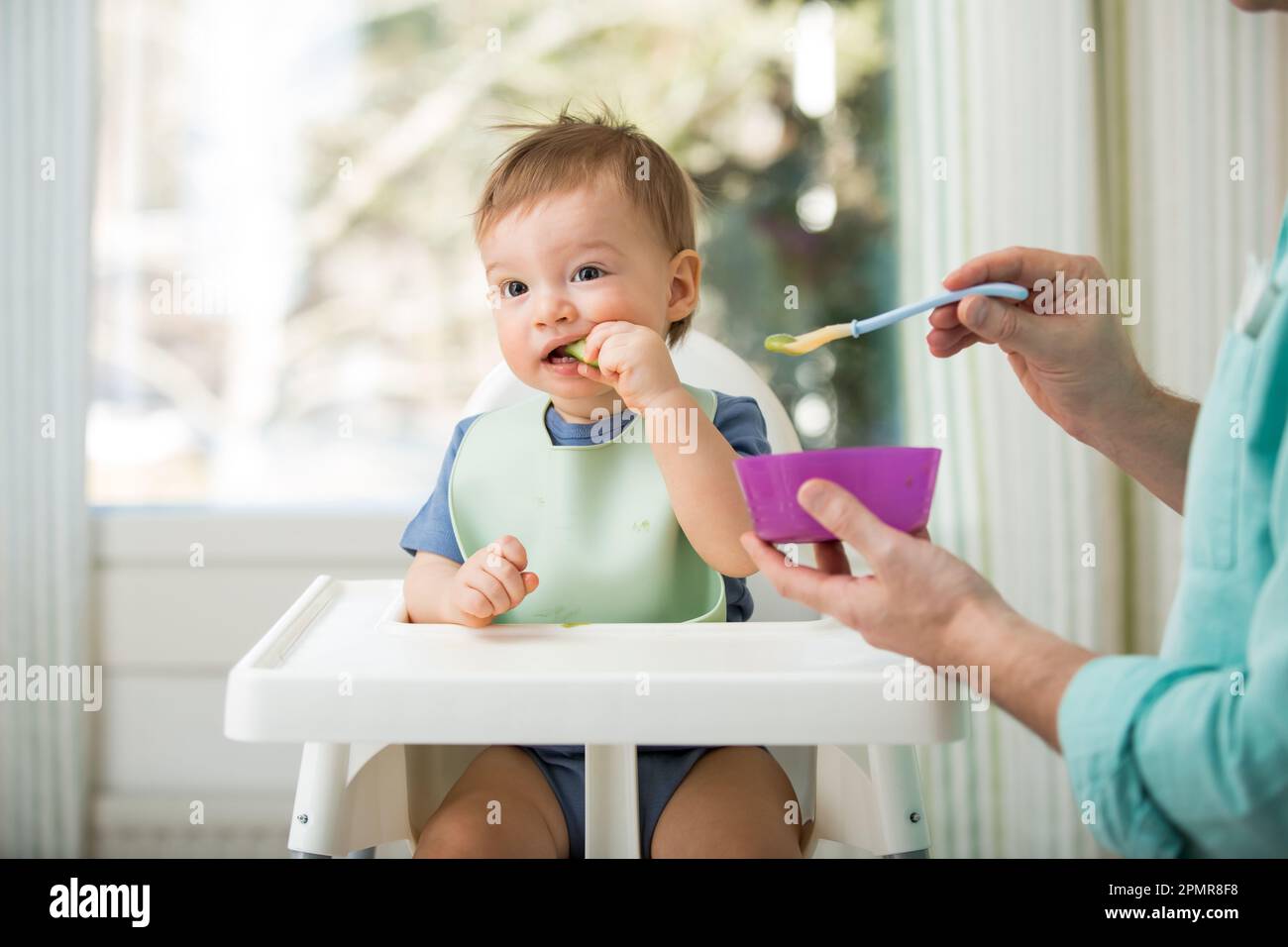 Père nourrissant son bébé mignon avec la première nourriture solide, bébé assis dans une chaise haute. Enfant goûtant des légumes à table, découvrant de nouveaux aliments. Banque D'Images